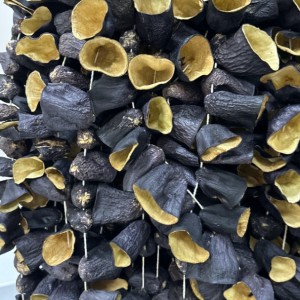 DOLMALIK PATLICAN KURUSU 